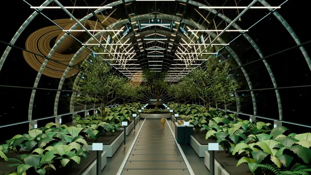 The Last Orchard